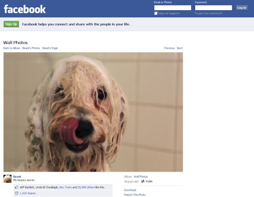 Beast, el perro de Mark Zuckerberg, tiene perfil en Facebook