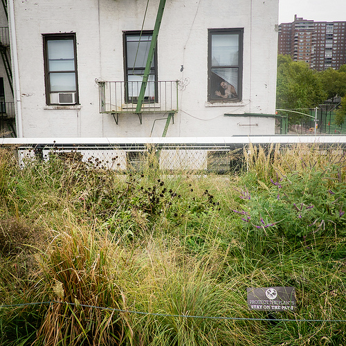 High Line