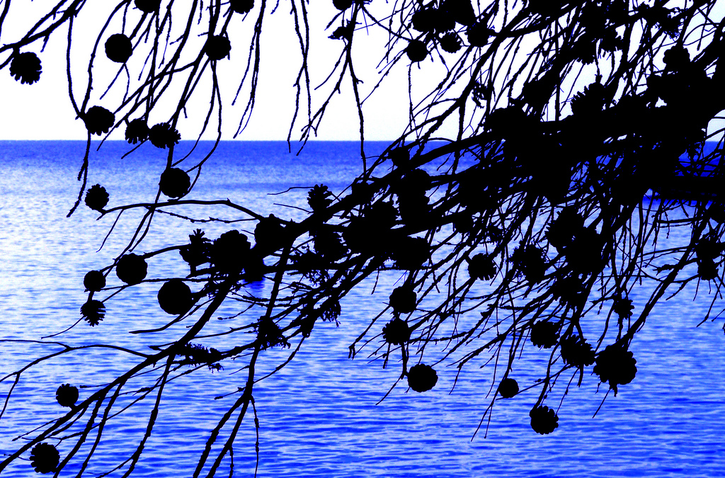 Paisaje mediterraneo, el fondo perfecto para cualquier reunión. Foto en flickr de Daniel Rubio