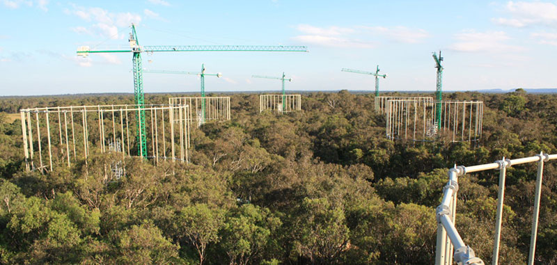 Vista de uno de los mayores experimentos activos de cambio climático instalado en un ecosistema nativo (bosque de eucalipto en Australia). EucFACE 