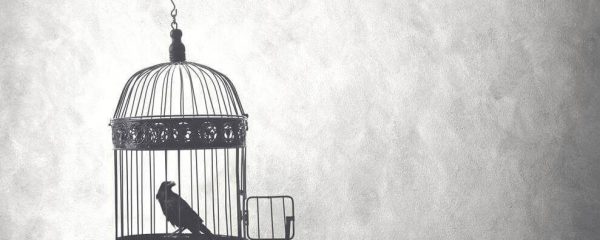 Hacia la liberalización del sector de las ITE's