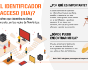 infografía explicariva sobre el IUA