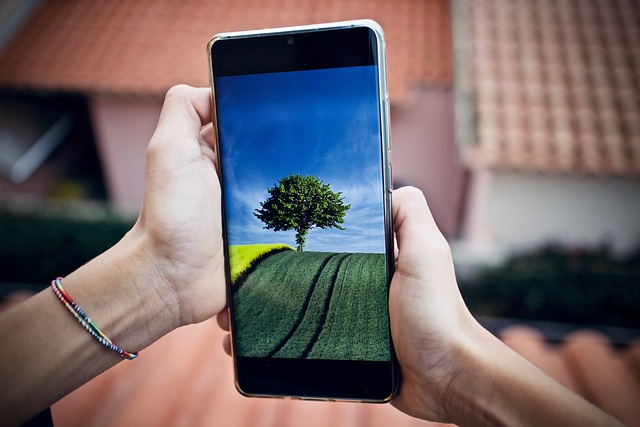 pantalla móvil con árbol verde