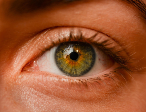 Panel de Hogares CNMC: así ven los españoles la programación de RTVE