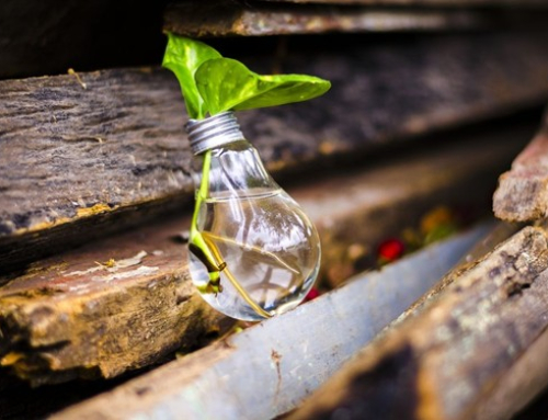 ¿Cómo evoluciona el Sistema de Garantías de Origen?