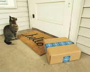 gato y paquete en la puerta