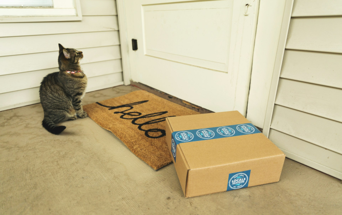 gato y paquete en la puerta