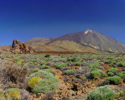Teide