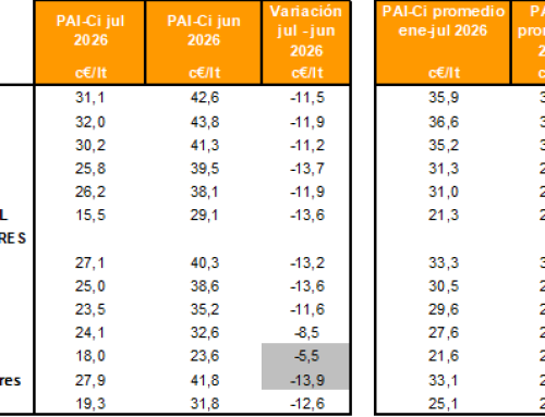 Márgenes, precios y más supervisión de los carburantes
